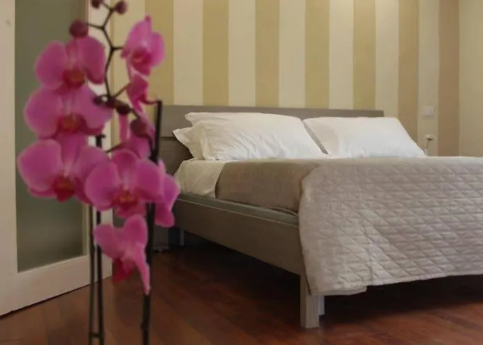 招待所 Osa 博萨